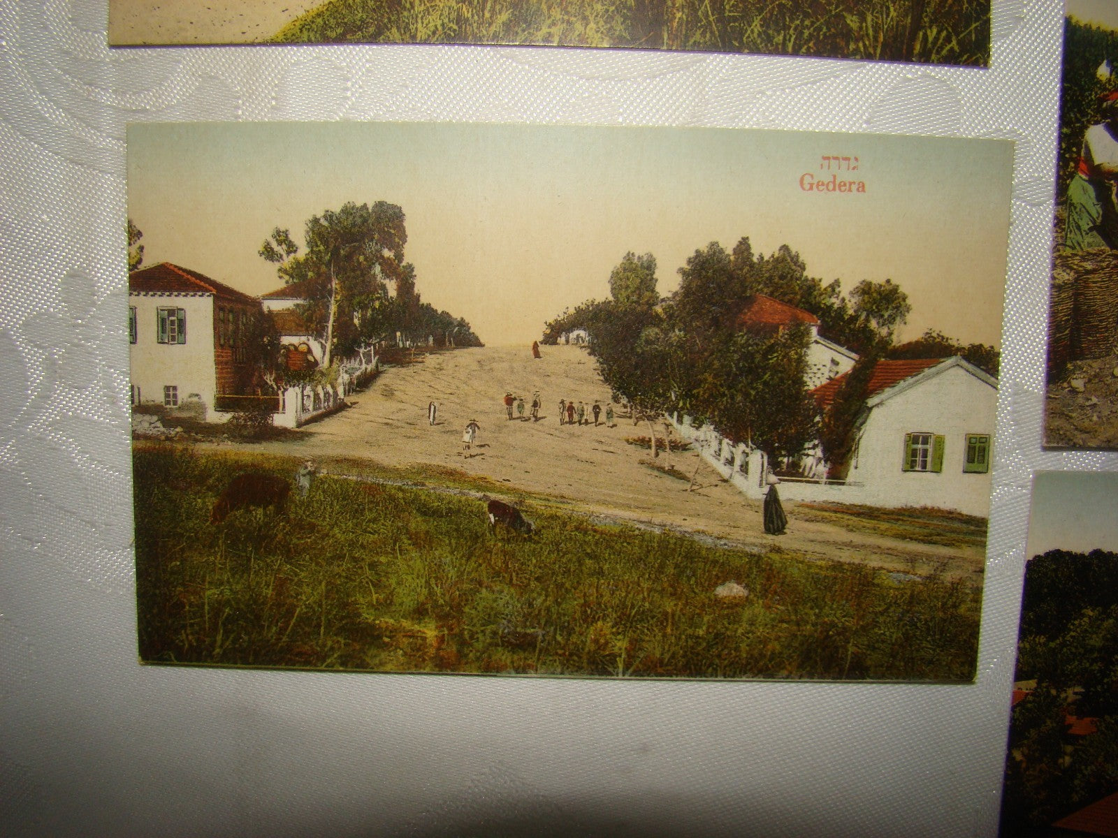 Photo Palestine Card hebrew jewish Israel Moshe Ordmann postcard Rishon LeZion