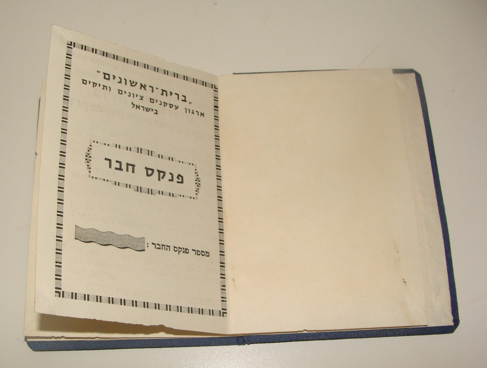 Card Jewish Judaica Israel Israeli Hebrew Zionist Veterans Certificate Member