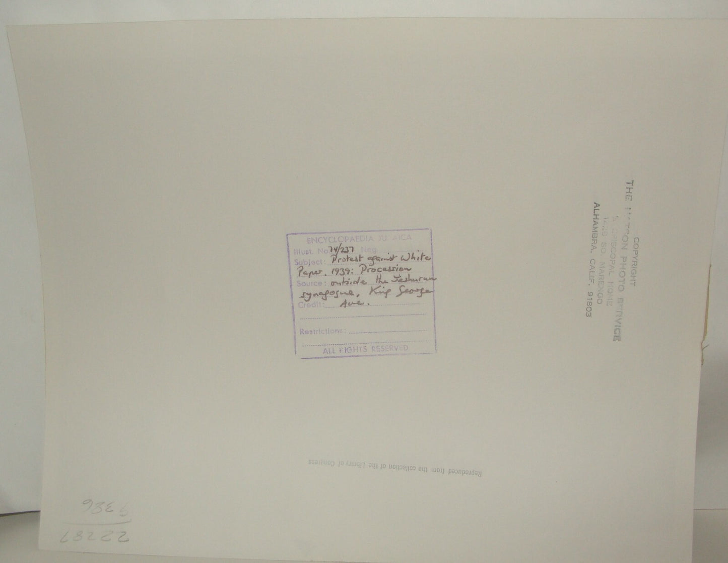 Photo Print Palestine Paper , Jewish Judaica Israel Jerusalem White Protest 1939