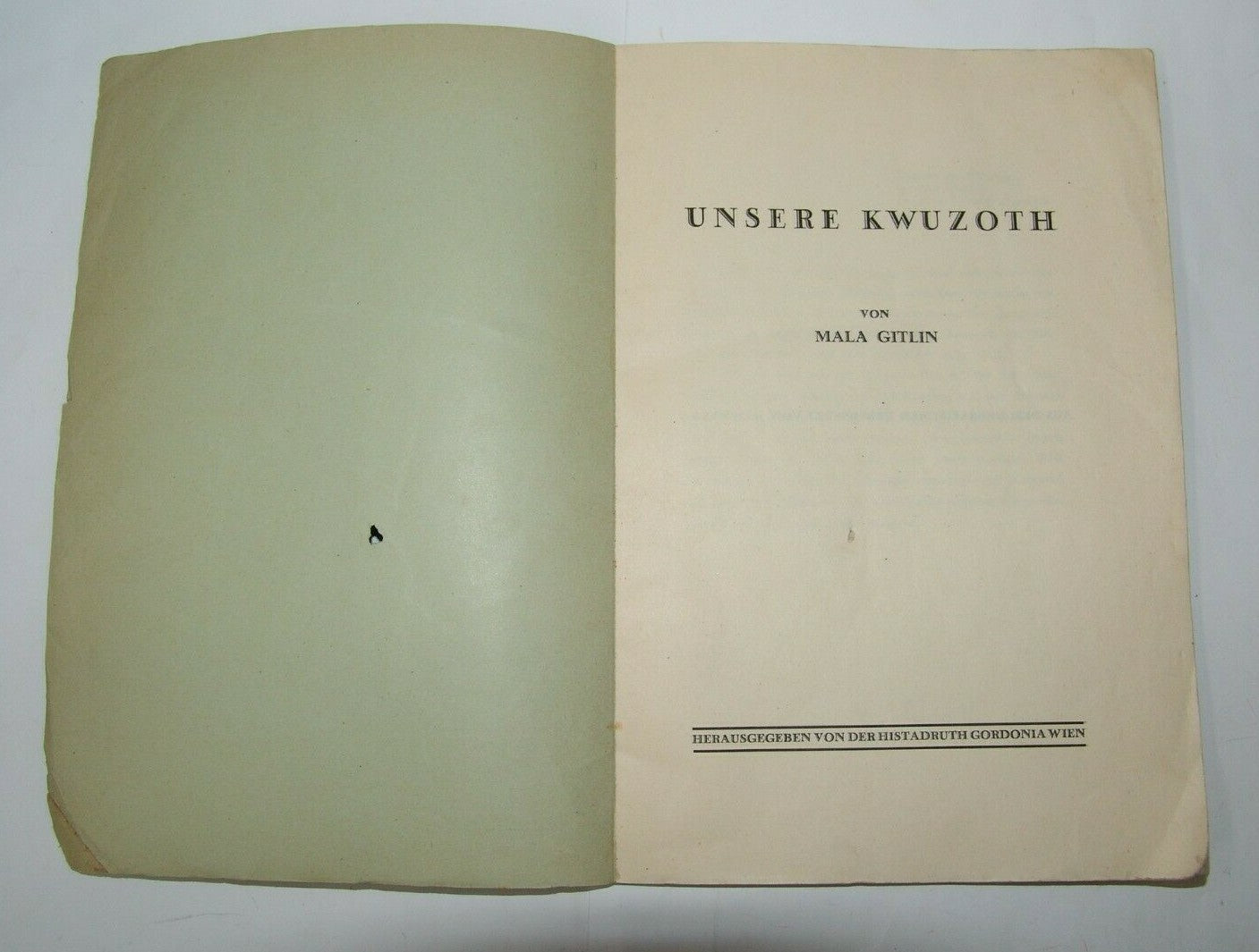 Book Jewish Judaica zionist zionism Unsere Kwuzoth Third Aliyah German 1934