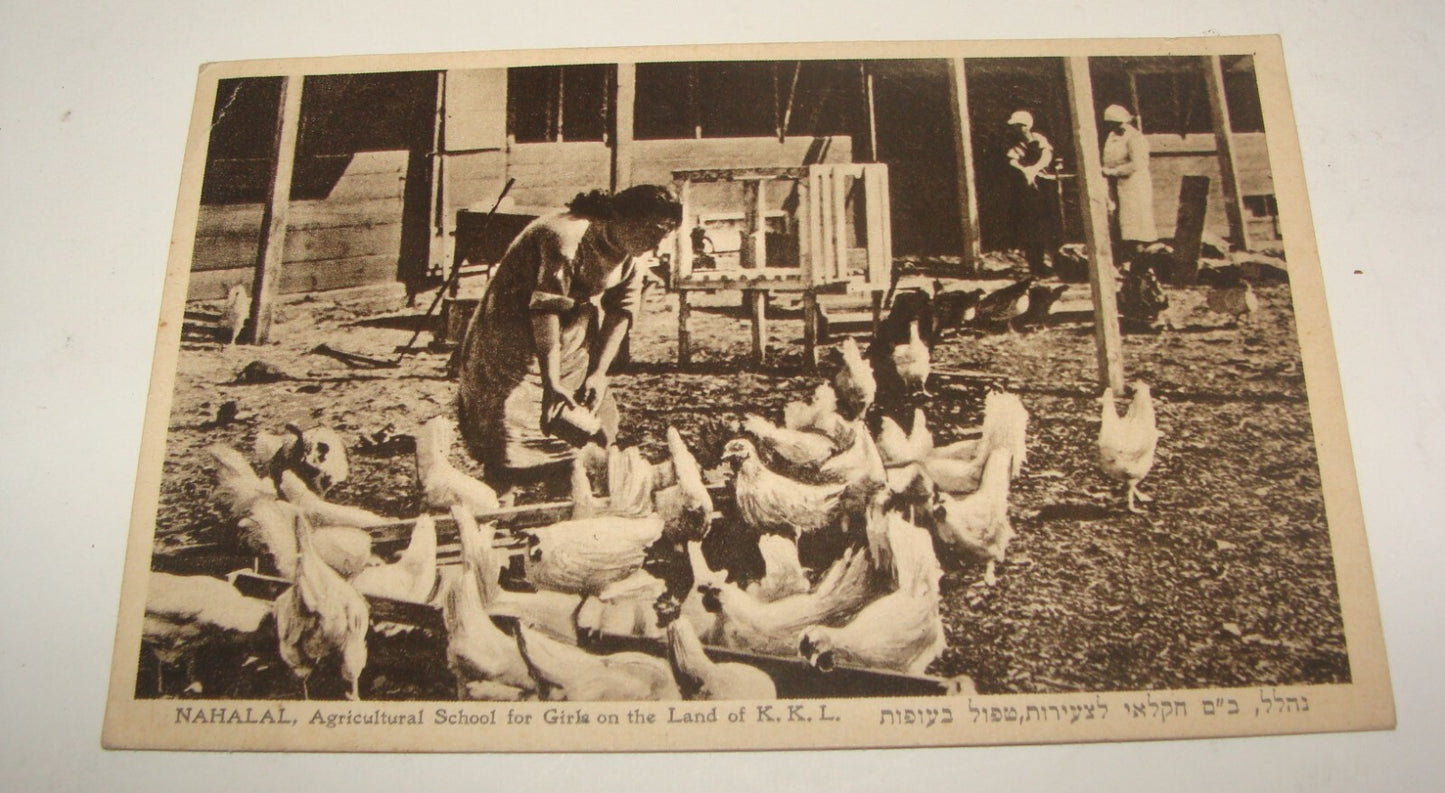 Photo Palestine Card Jewish 1930s Israel Zionist Postcard Nahalal Agricultural
