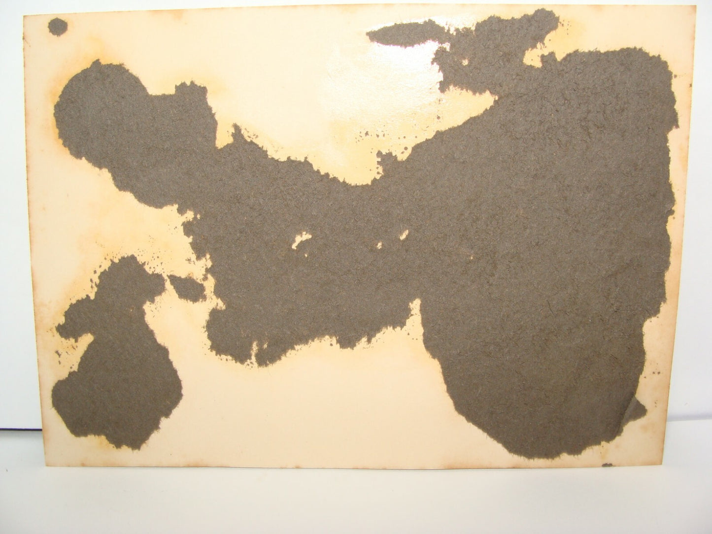 Photo Palestine Ad Jewish Israel Israeli Workers Parade Socialist Communist