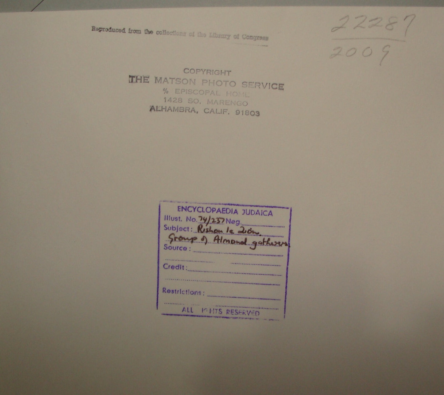 Photo Print, Ottoman Palestine Israel Rishon LeZion Agriculture MATSON 1910s