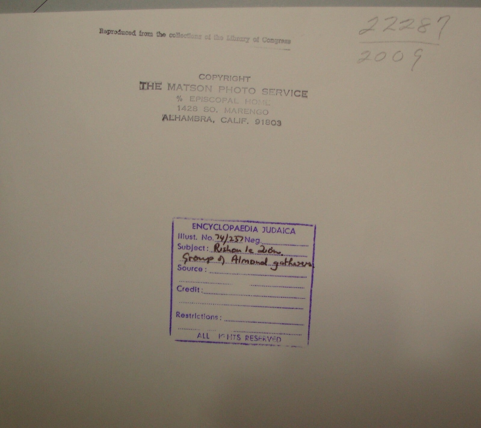 Photo Print, Ottoman Palestine Israel Rishon LeZion Agriculture MATSON 1910s