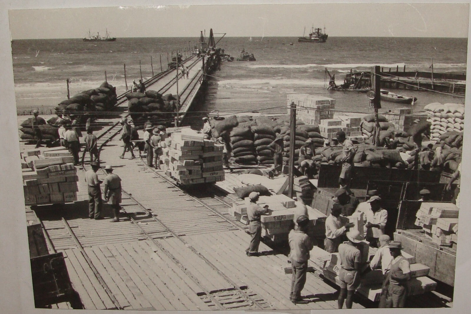 Photo Print, 1936 Palestine Israel TEL AVIV Port Workers Jewish Hebrew Judaica