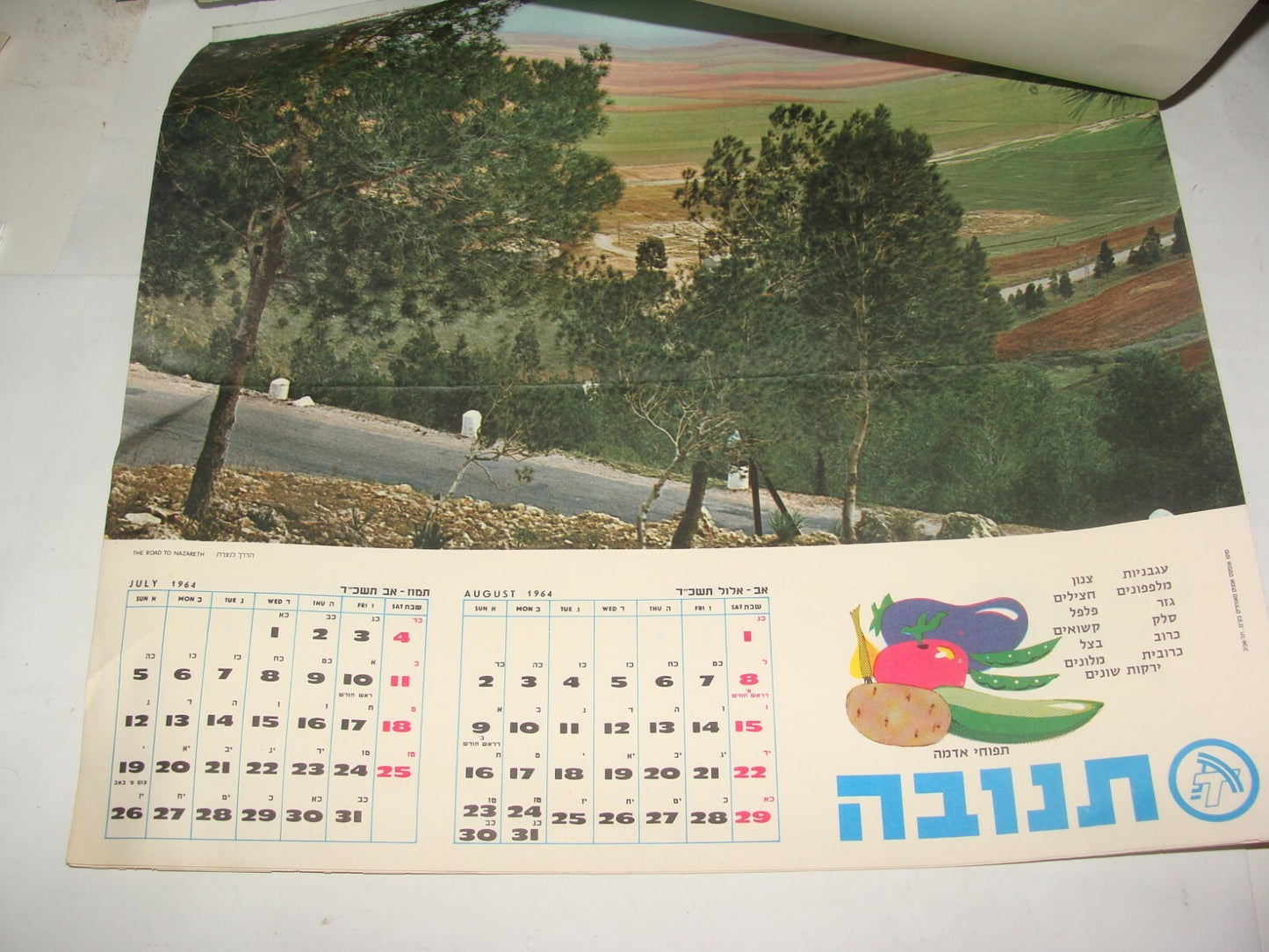 Jewish Israel Israeli Vintage 1964 Hebrew Food Company Dairy TNUVA Calendar