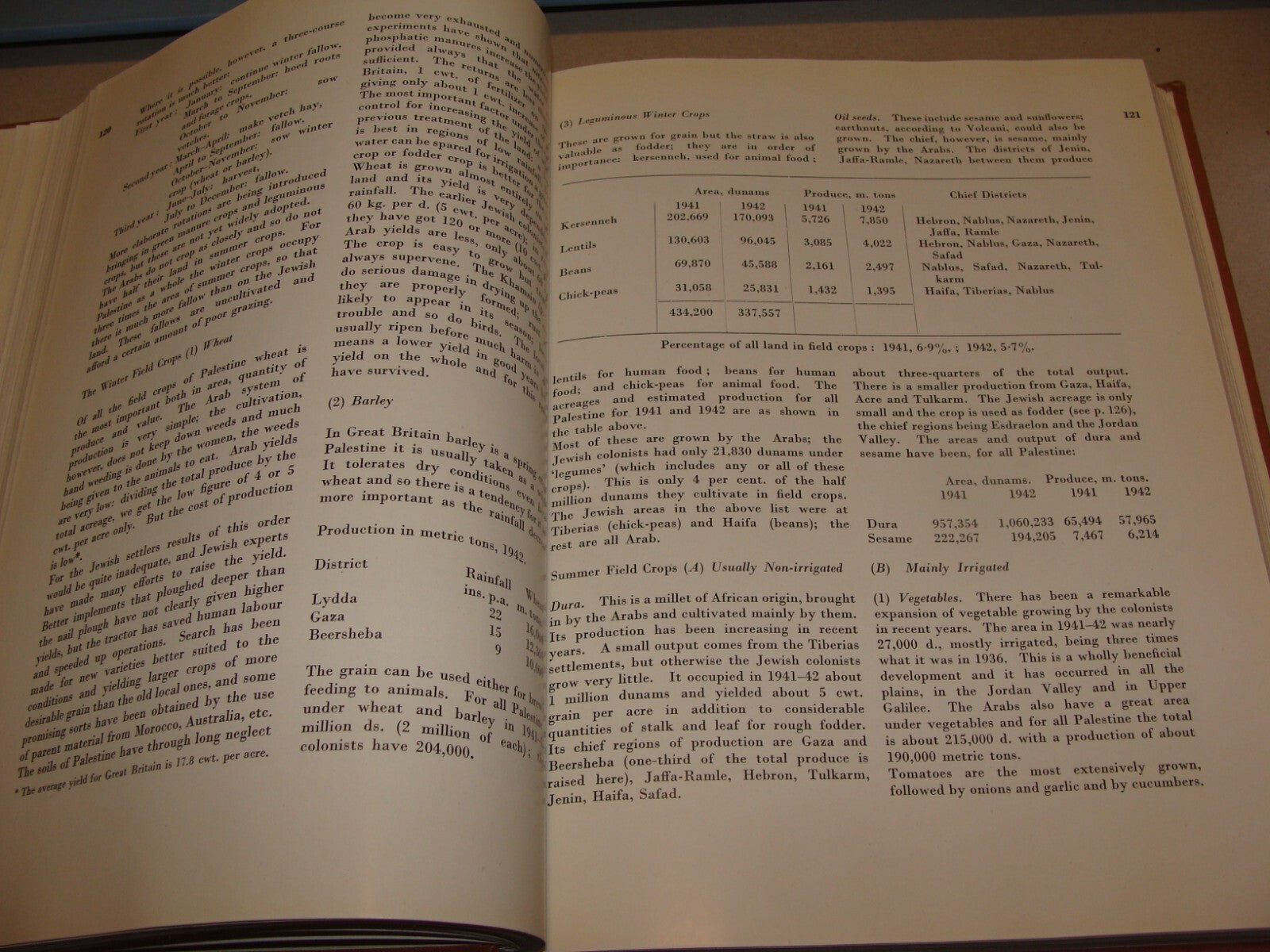 Book Jewish 1946 PALESTINE ECONOMIC FUTURE Book Israel Zionist London Zionism