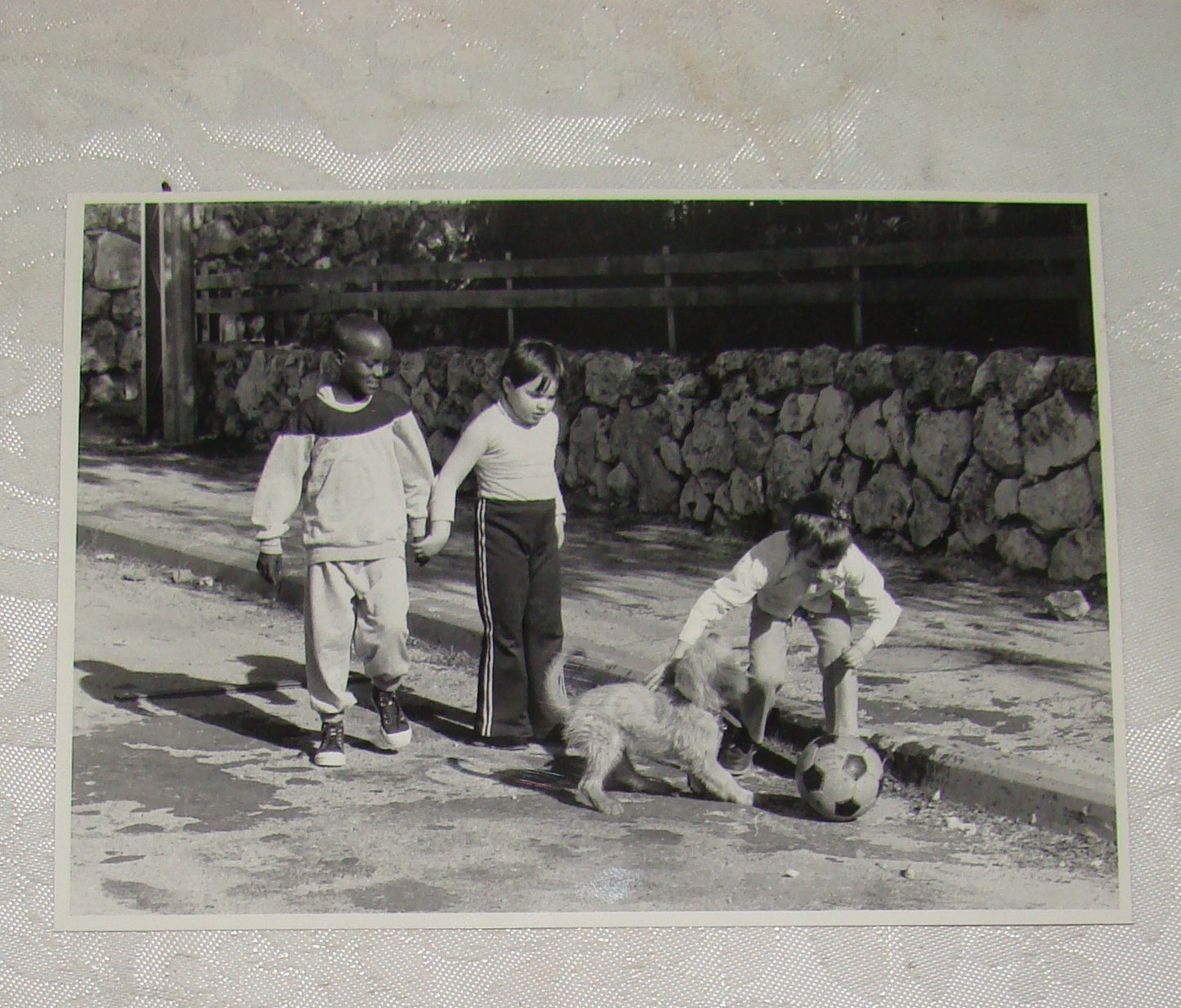 Jewish Israel Ethiopian Falashmura Jews x9 Press Photo Immigration Zion 1980s