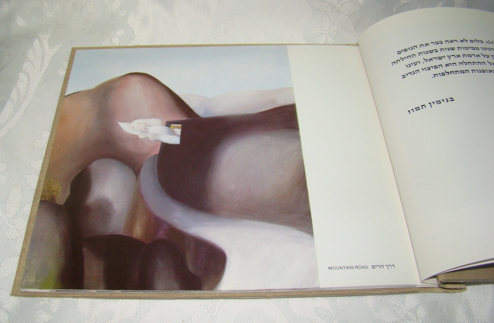 Book Jewish Judaica Israel Israeli Artist Naftali Bezem נפתלי בזם Art 1980