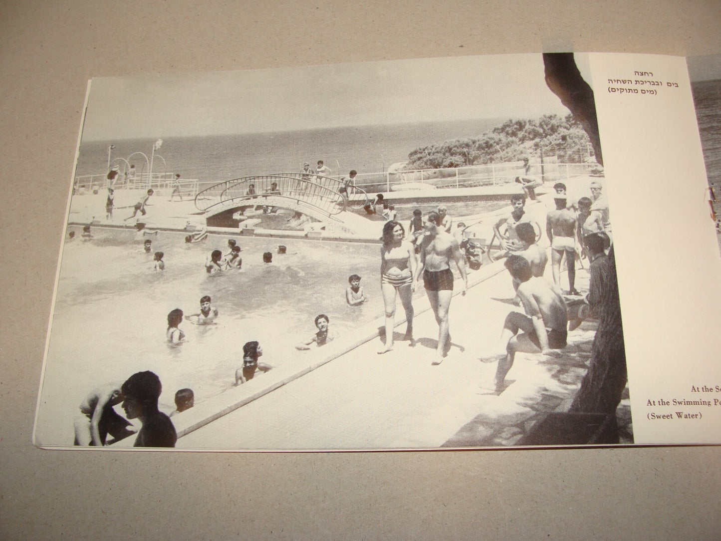 Photo Jewish 1950s Israel Israeli NATANYA Natania Guide Brochure Album Hebrew