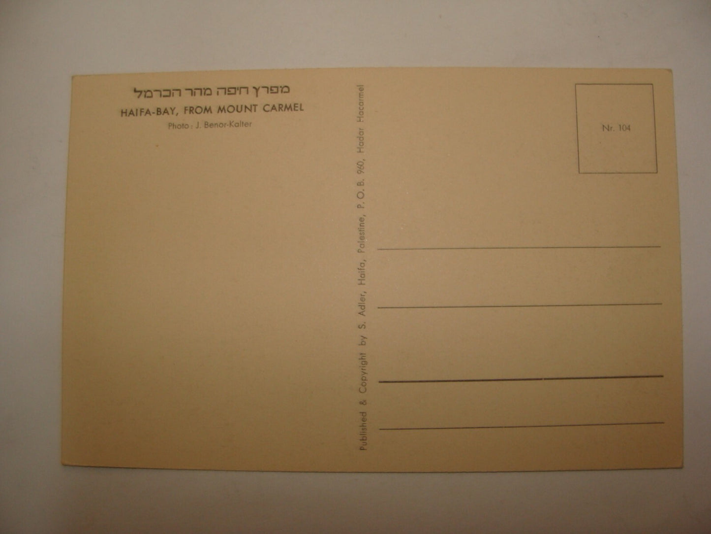 Photo Palestine Card Jewish Judaica Israel Israeli 1940s HAIFA Postcard Lot x9