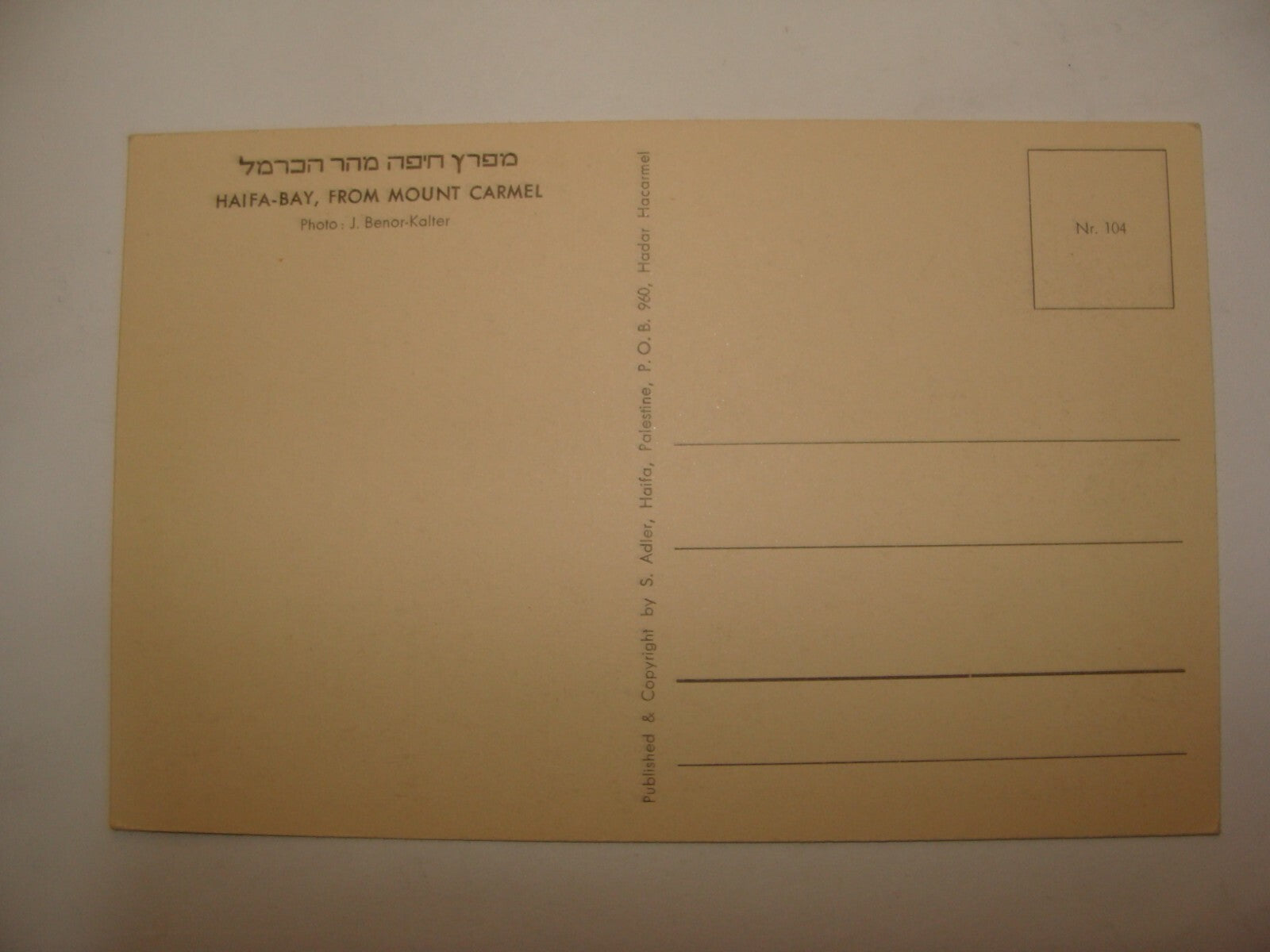 Photo Palestine Card Jewish Judaica Israel Israeli 1940s HAIFA Postcard Lot x9