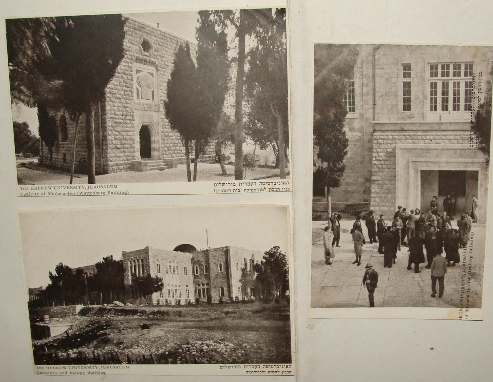 Photo Palestine Card Jewish Judaica Israel Hebrew University Jerusalem Postcard