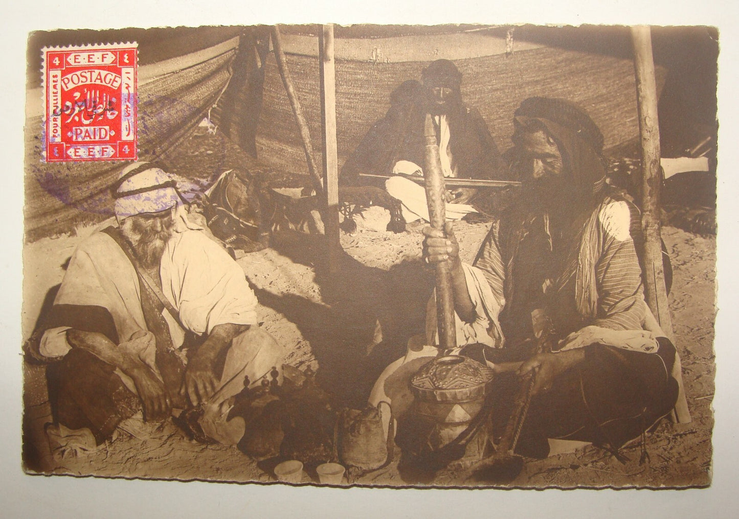 Photo Palestine Card Palestinian Israel Real Postcard Arab Arabic Bedouin Desert