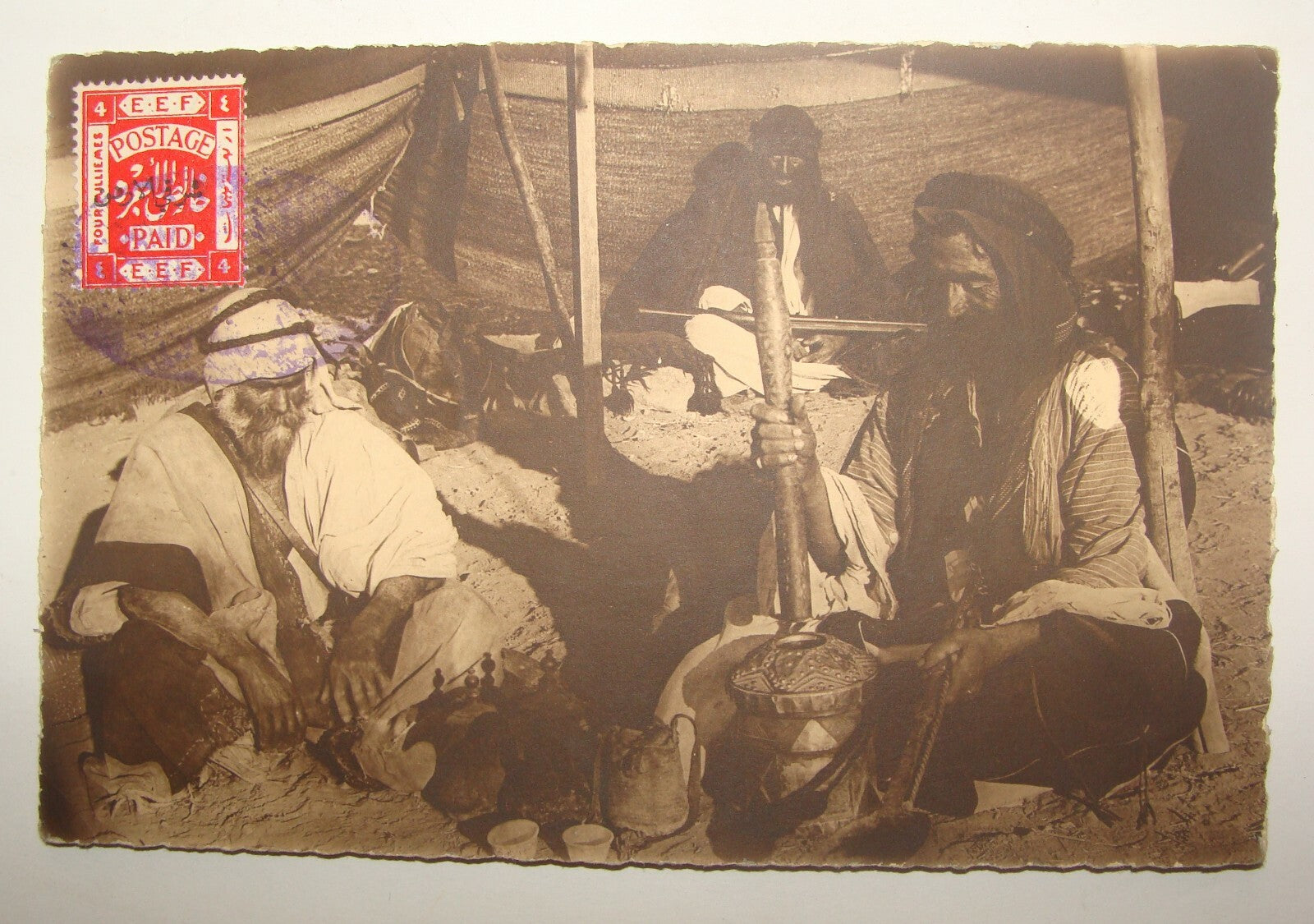 Photo Palestine Card Palestinian Israel Real Postcard Arab Arabic Bedouin Desert