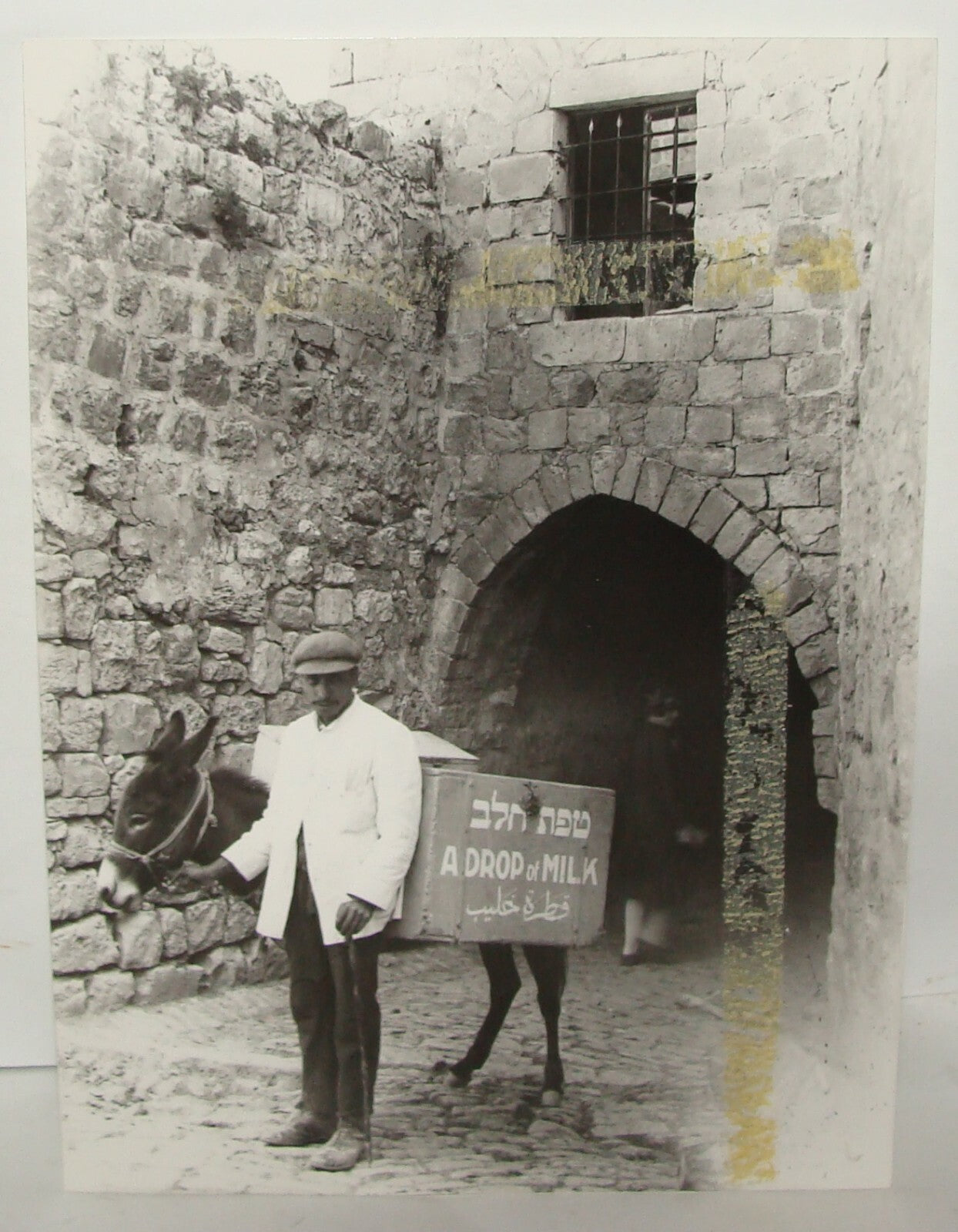 Photo Print, Jewish Palestine Israel Jerusalem 1927 Child Care Donkey Milk Help