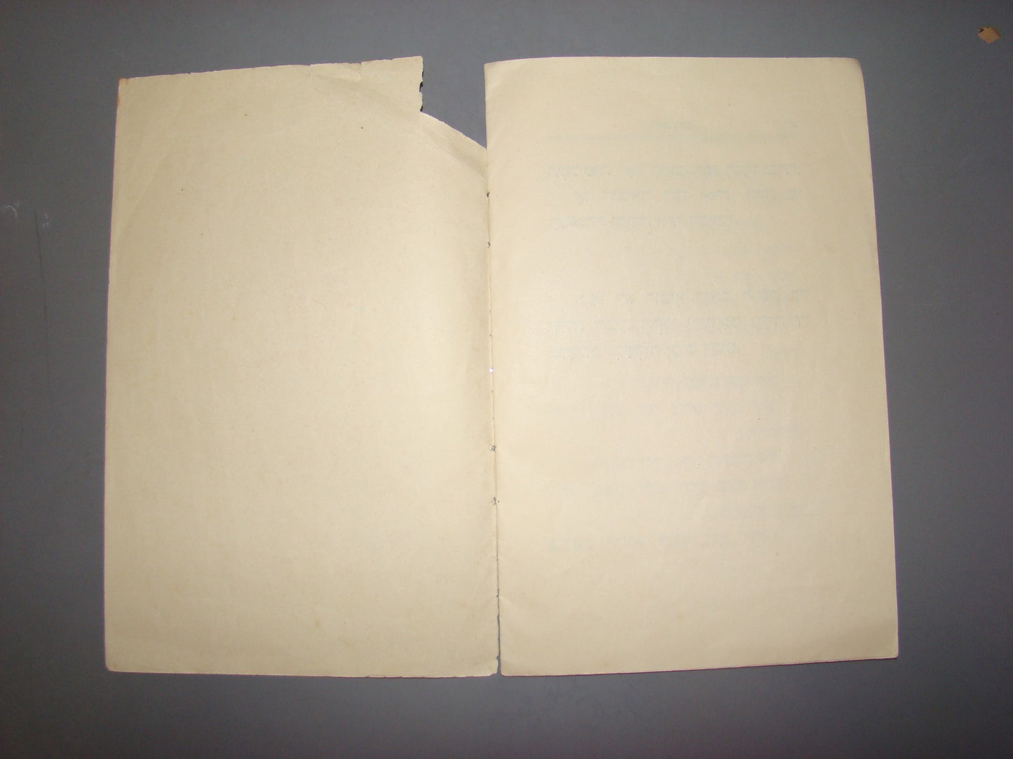 Book Jewish hebrew 1929 palestine israel Levin Kipnis Children Nachum Gutman