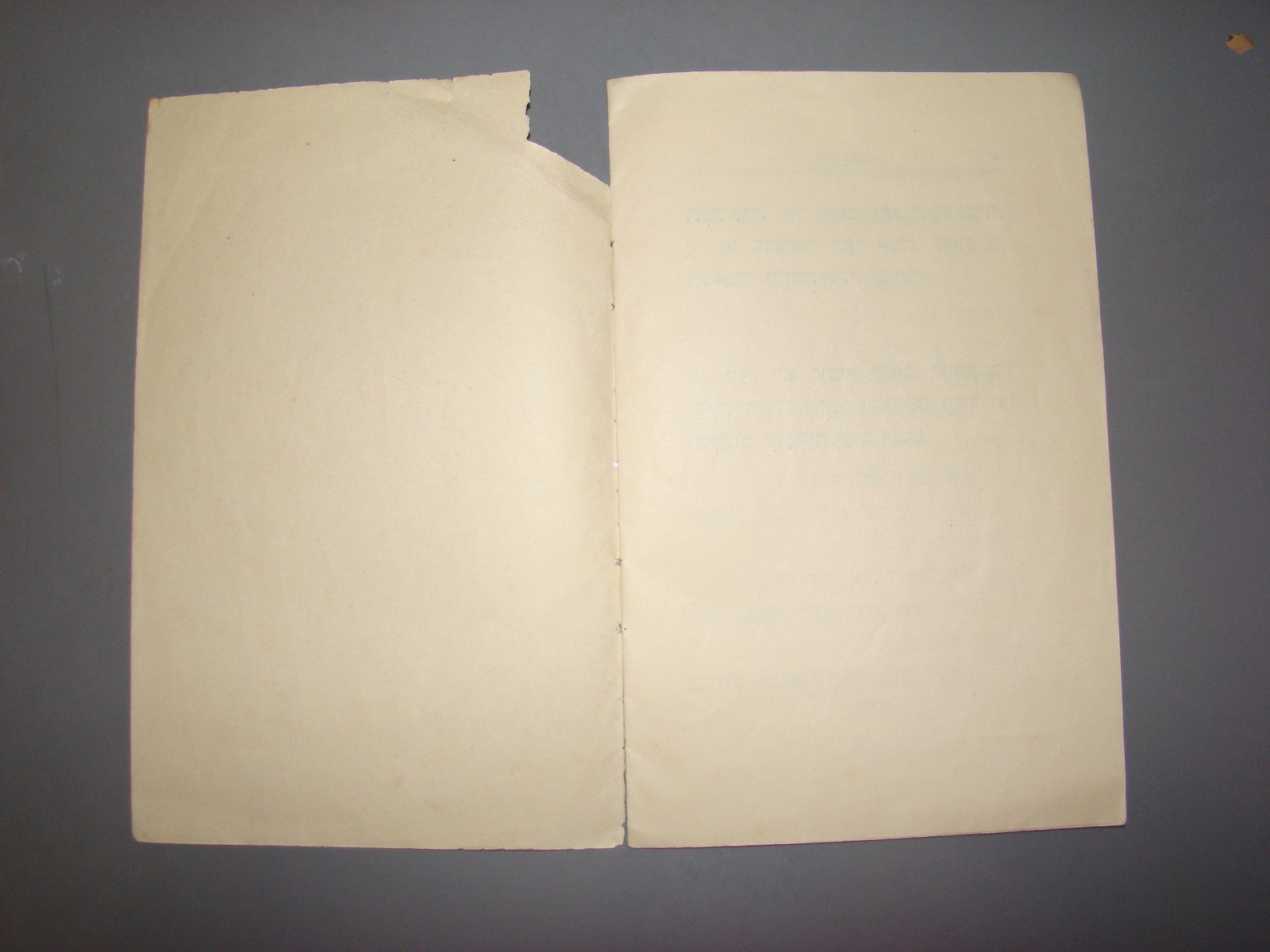 Book Jewish hebrew 1929 palestine israel Levin Kipnis Children Nachum Gutman