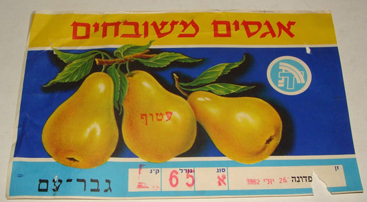 Israel Israeli Hebrew Food Fruit Pear Kibbutz Gvaram Box Pack Label 1950s