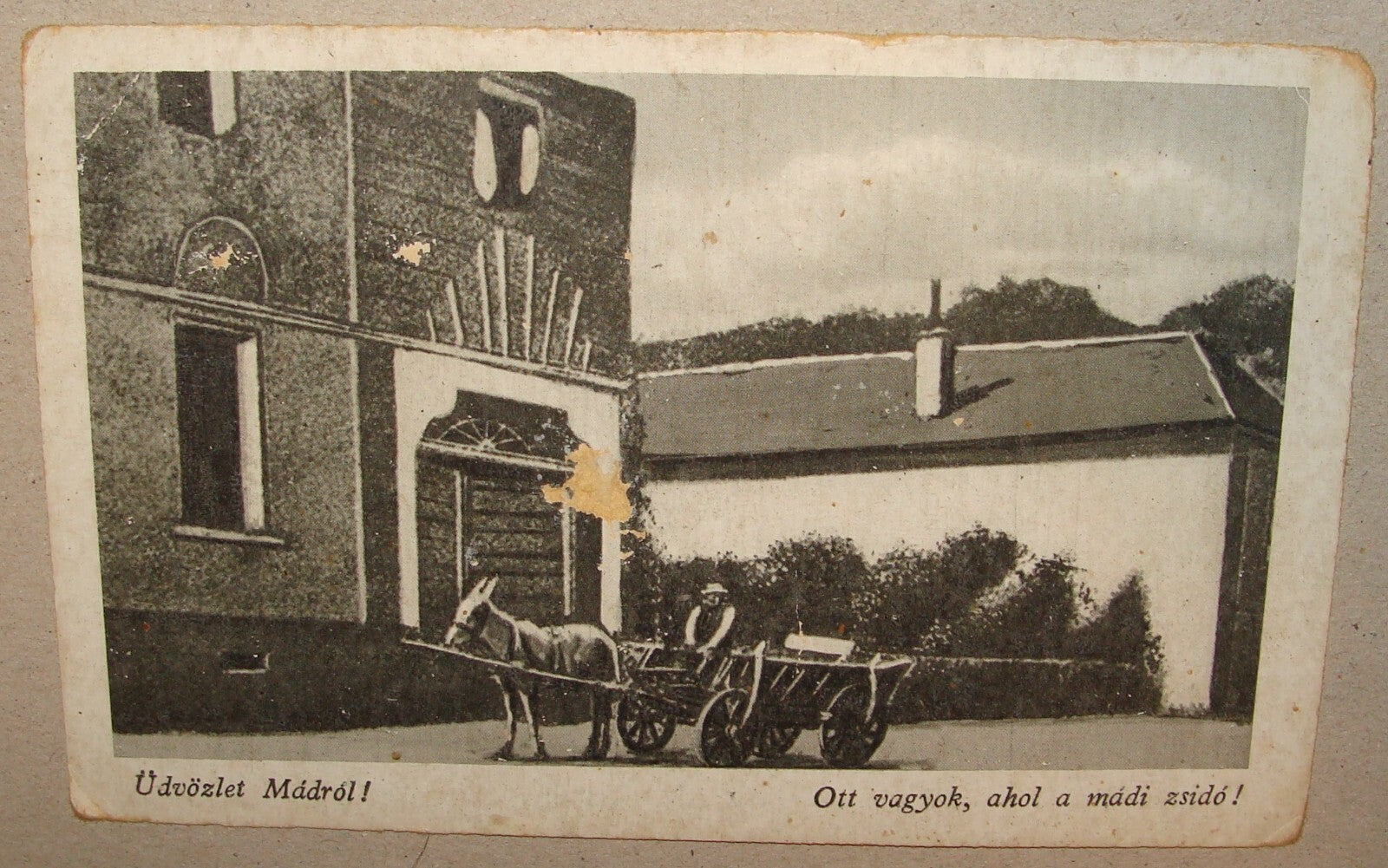 Photo Jewish Card Judaica 1910s? Hungary Postcard