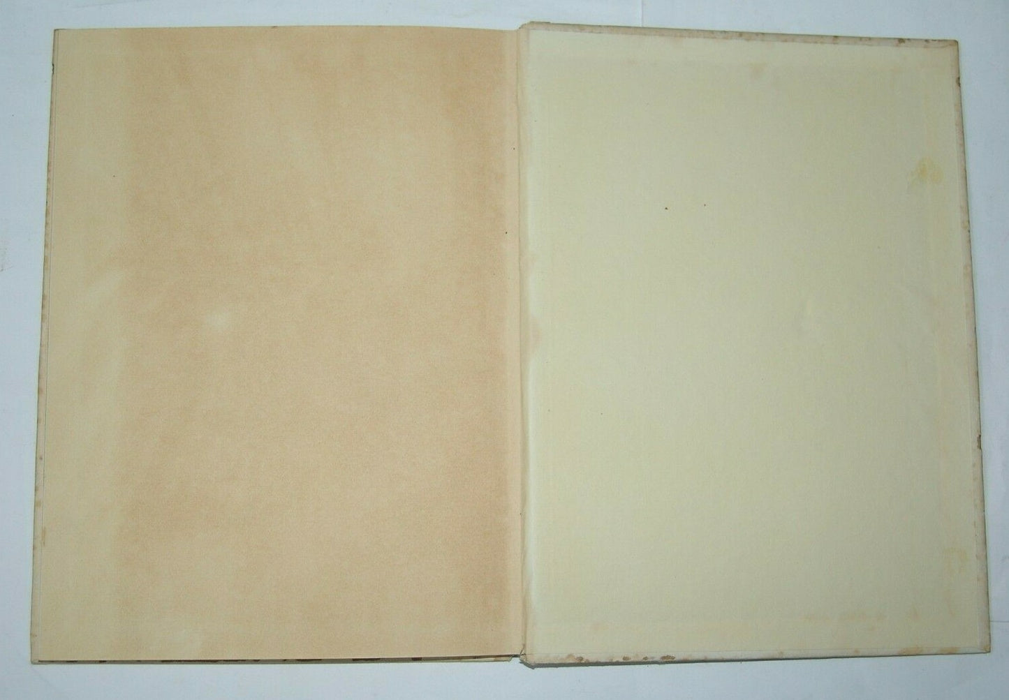 Book Jewish Judaica israel israeli Leah Goldberg 1952 אהבת שמשון with drawings