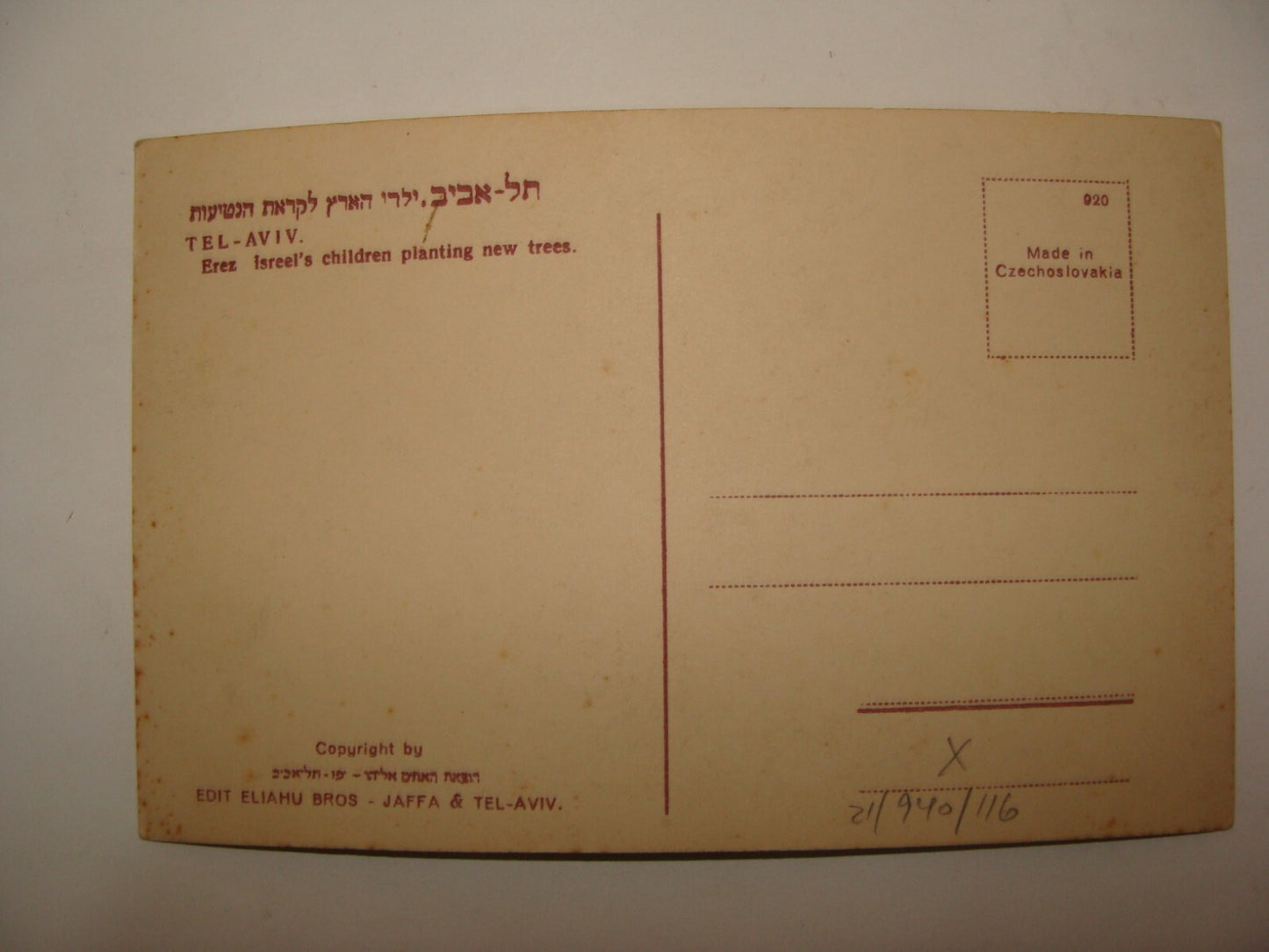 Photo Palestine Card Jewish 1930s Israel Zionist Kids Children Tree Plant