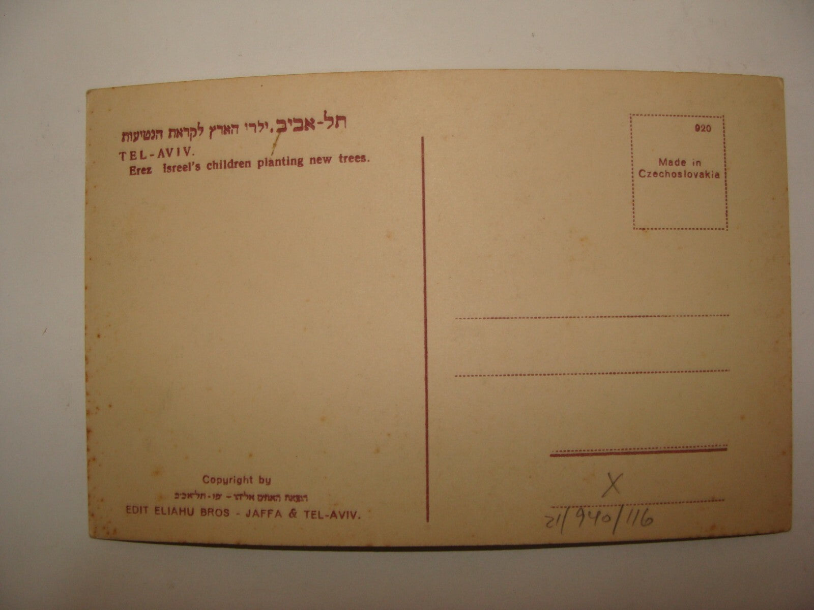 Photo Palestine Card Jewish 1930s Israel Zionist Kids Children Tree Plant